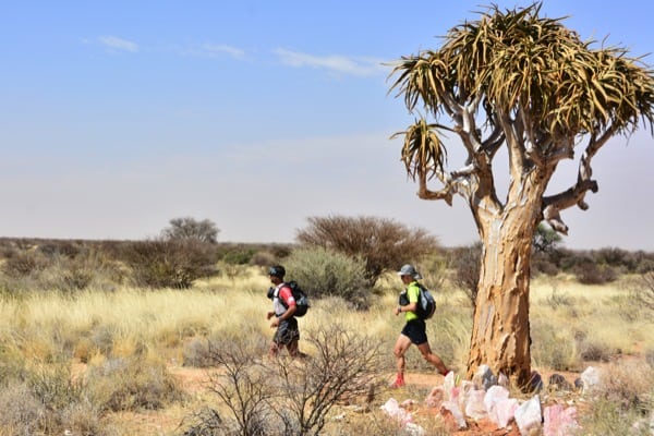Daniel_Rowland_KAEM13_Stage_5_5 - Mahmut Yavuz and Daniel Rowland run past a quiver tree (the icon tree of the Kalahari Desert)