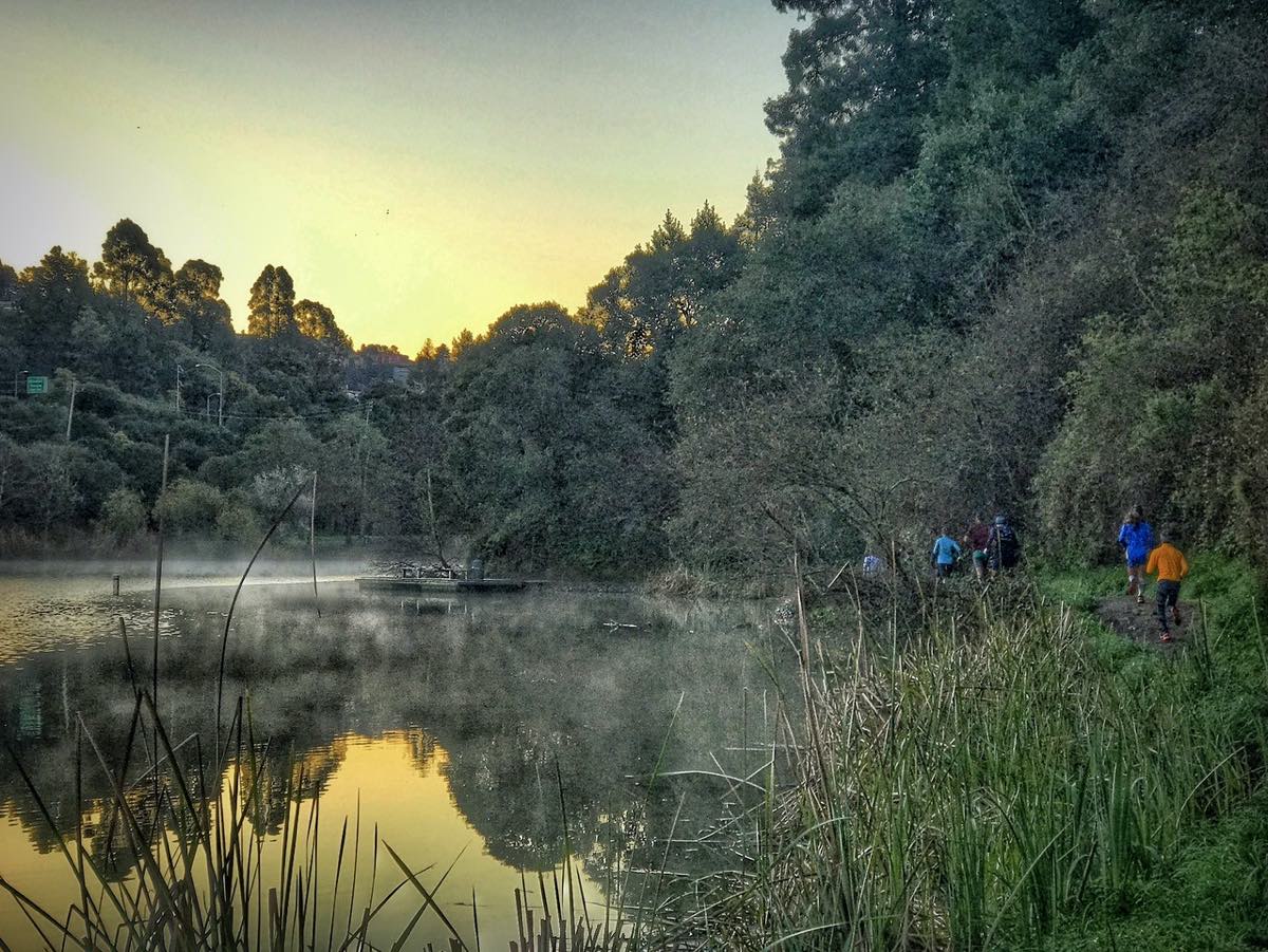 Trail running Oakland California - Breakfast Club group - Lake Temescal at dawn