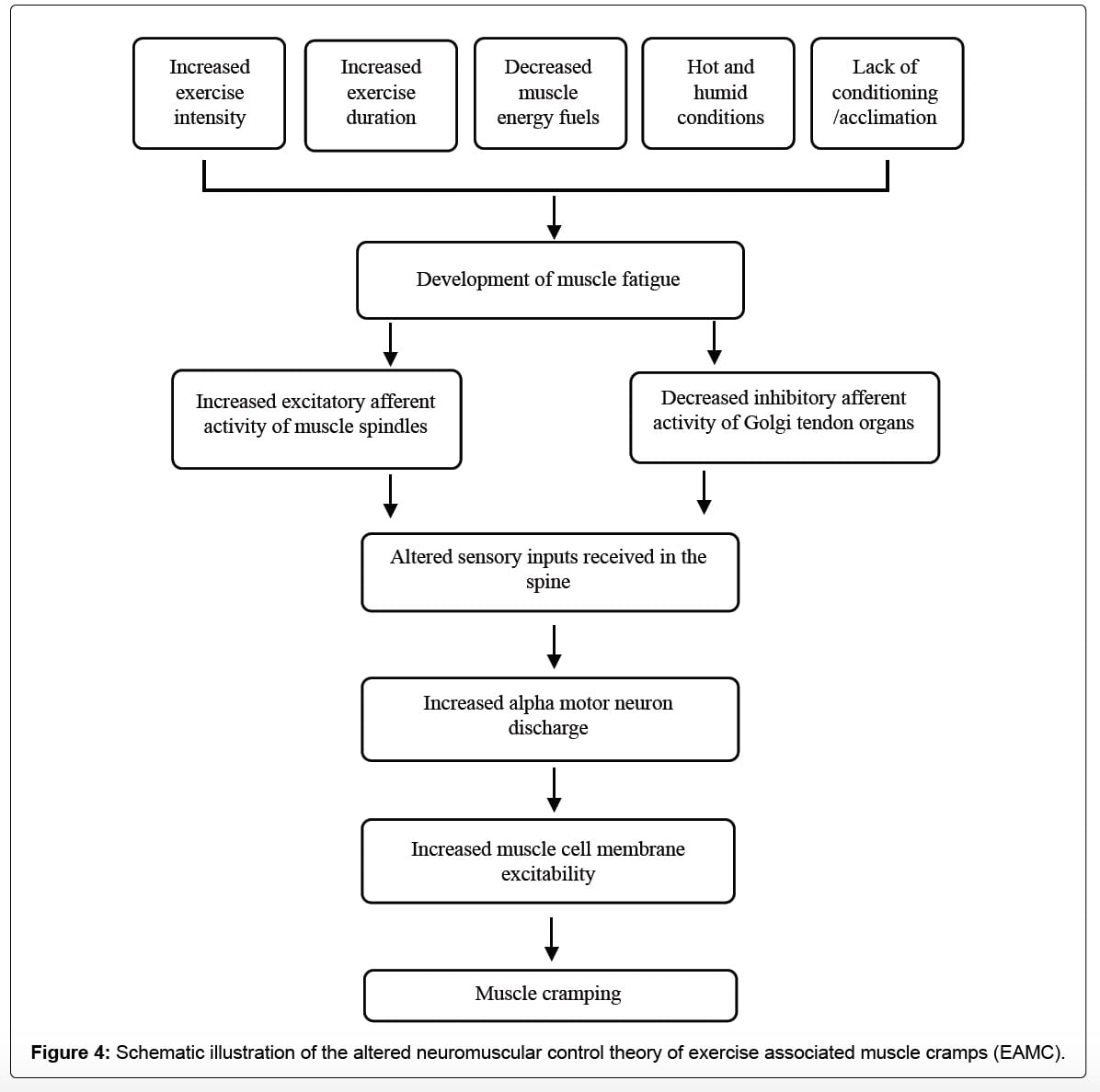 Exercise-Associated Cramping figure 5