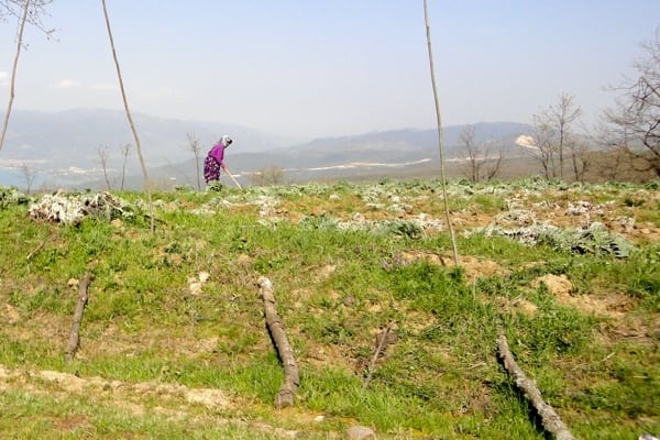 A Turkish woman farms her fields. Photo: Mike Place