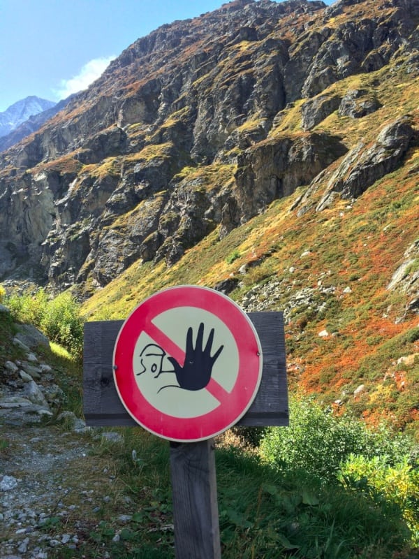 Hand of Terror