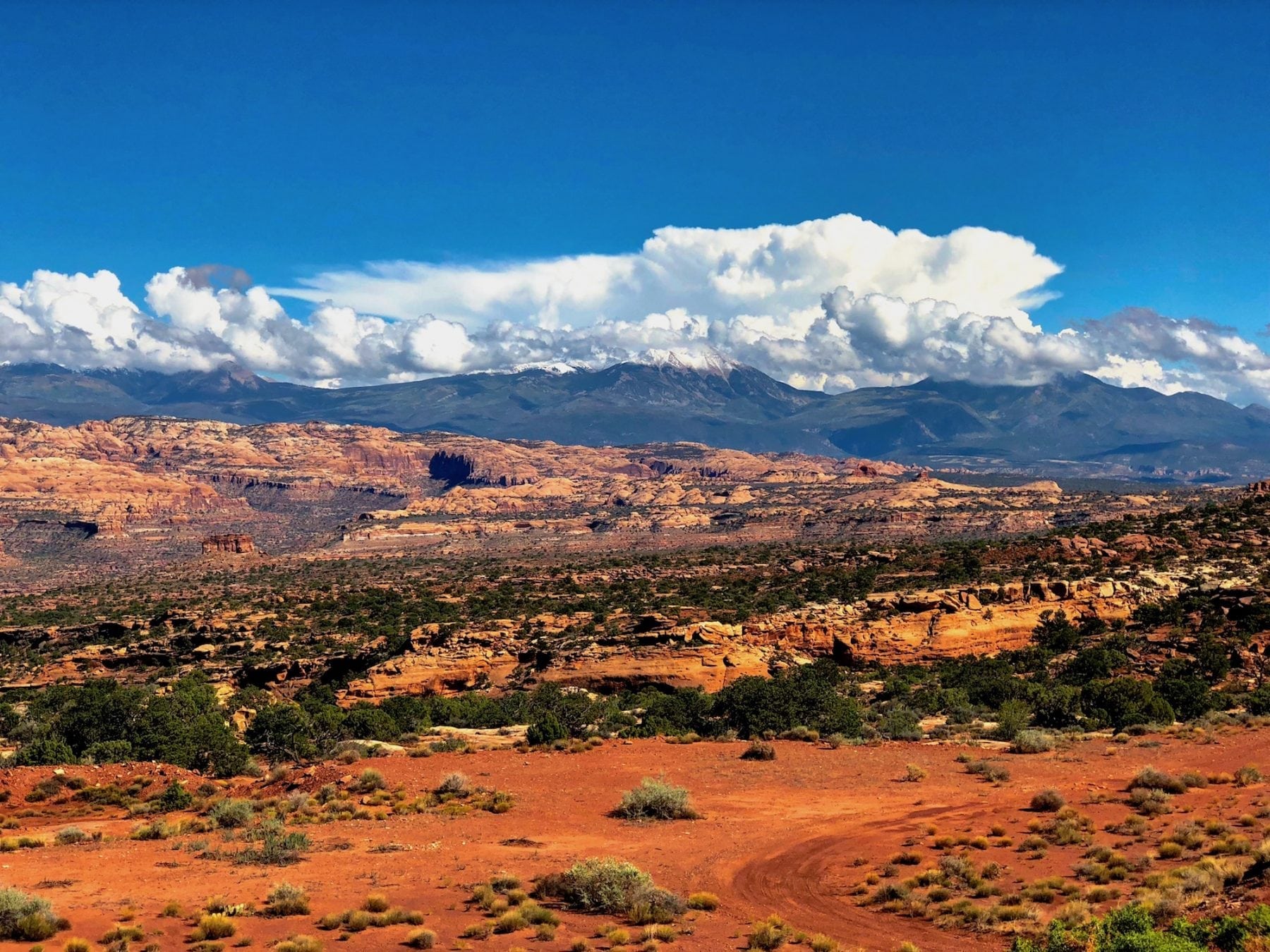 Behind the Rocks (BLM, foreground) and the La Sal Mountains (Manti-La Sal National Forest, background)