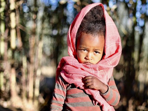 Jaybird Daily Dispatch: Girls and Women in Bekoji Jaybird Daily Dispatch: Girls and Women in Bekoji