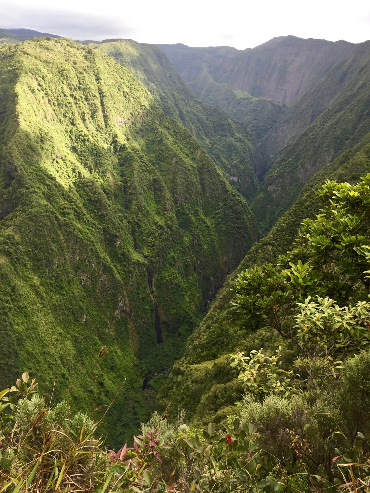 La Reunion - view from trail at Parque du Colorado