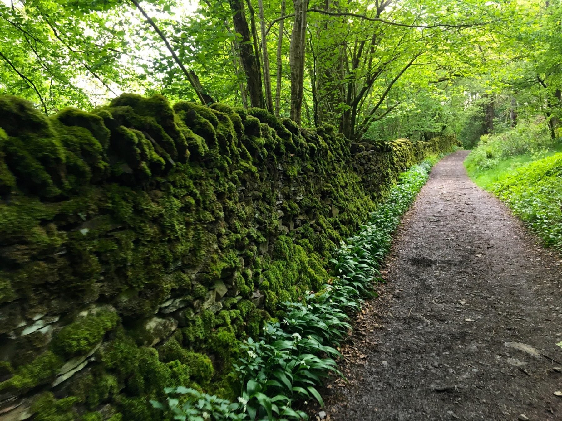 Lake District valley path