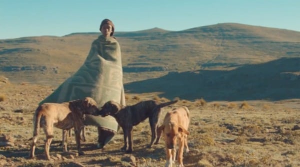 A local herder