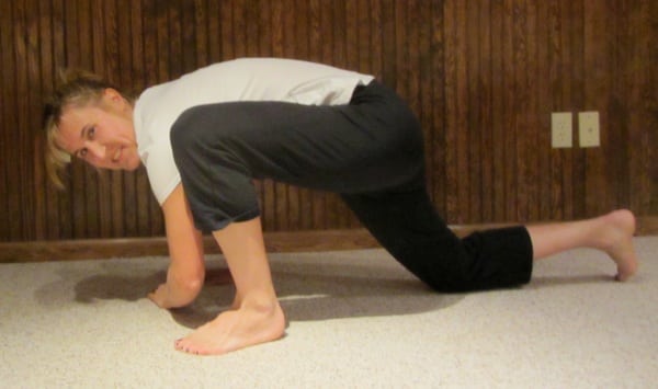 Lunge Lizard