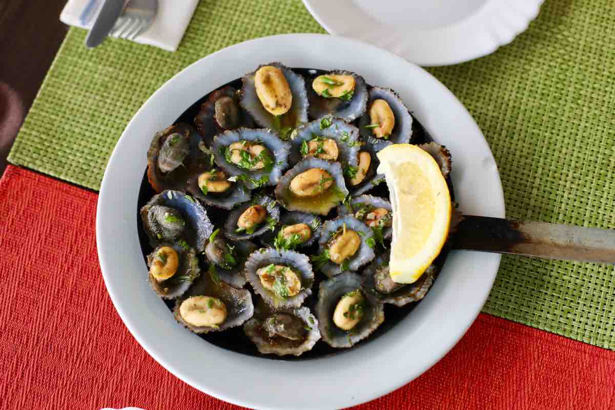 Madeira limpets