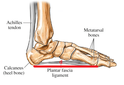 PF.Web.Md.1