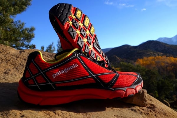 Patagonia EVERlong