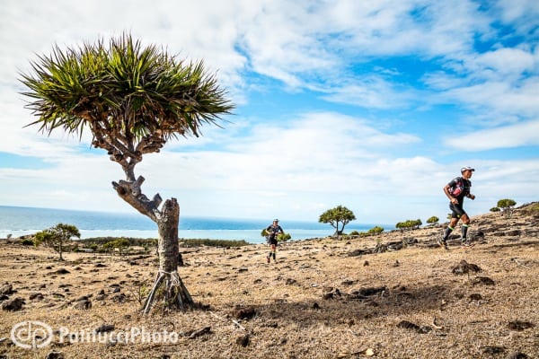 Runners and a vacoa plant on the first cross-country climb. Trail de Rodrigues - vacoa - runners