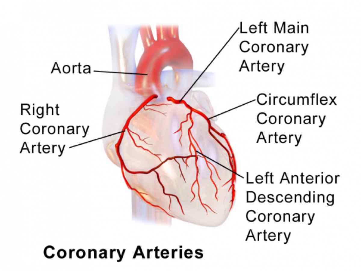 Running and the Heart 1