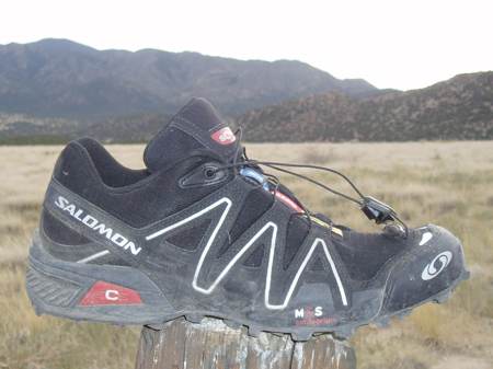 salomon scs shoes