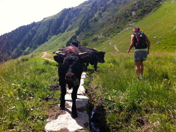 Swiss Traffic Jam in Bettmeralp