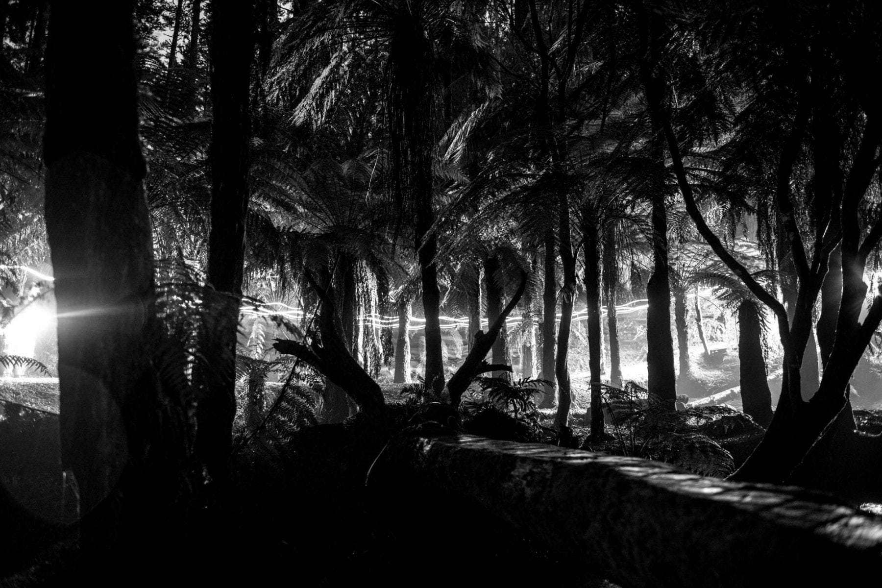 Tarawera 100-Mile Endurance Run 4b