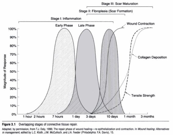 Tissue Healing Stages