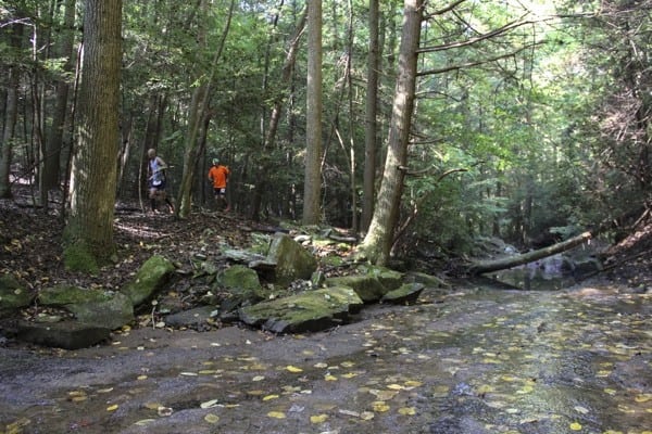Trail Running in Chattanooga - StumpJump 50k