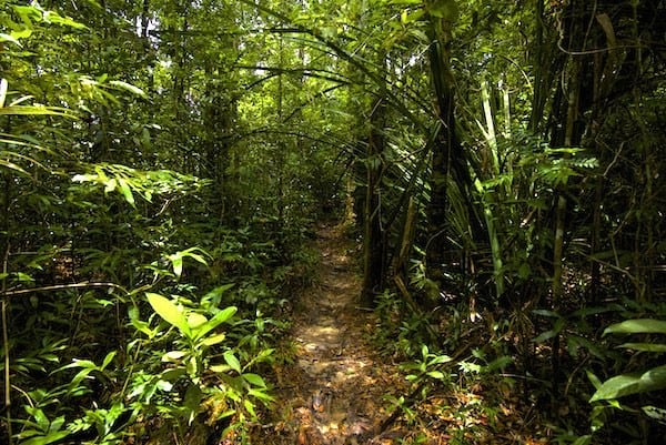 Trail Samui