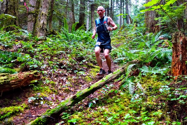 trail-tread-decomposing-organic-matter