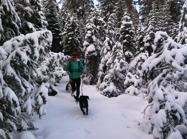 Trail running leashed dog