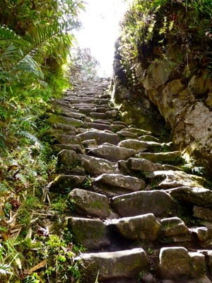Typical Inca paths