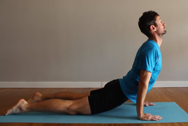 Upward Dog - Side