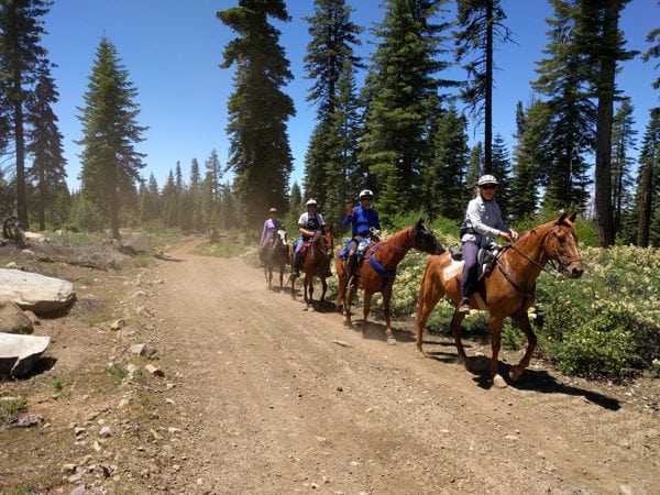 Western States Google Trekker - Horses