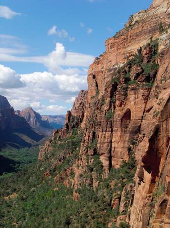 Zion Canyon from Angel's Landing trail. Zion Canyon from Angel's Landing trail.