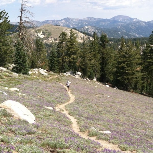 trail runner adventure run Tahoe Rim Trail